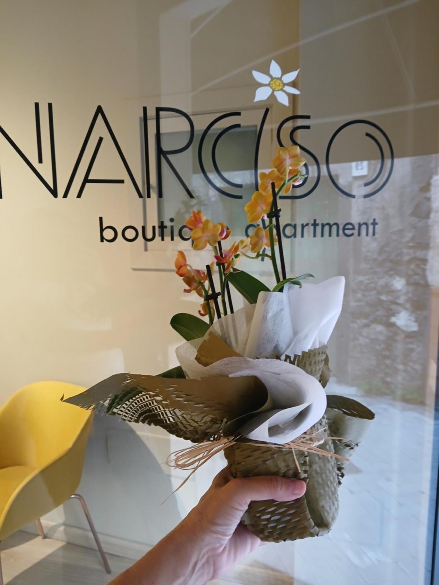 Narciso Boutique Apartment Acireale Exteriör bild